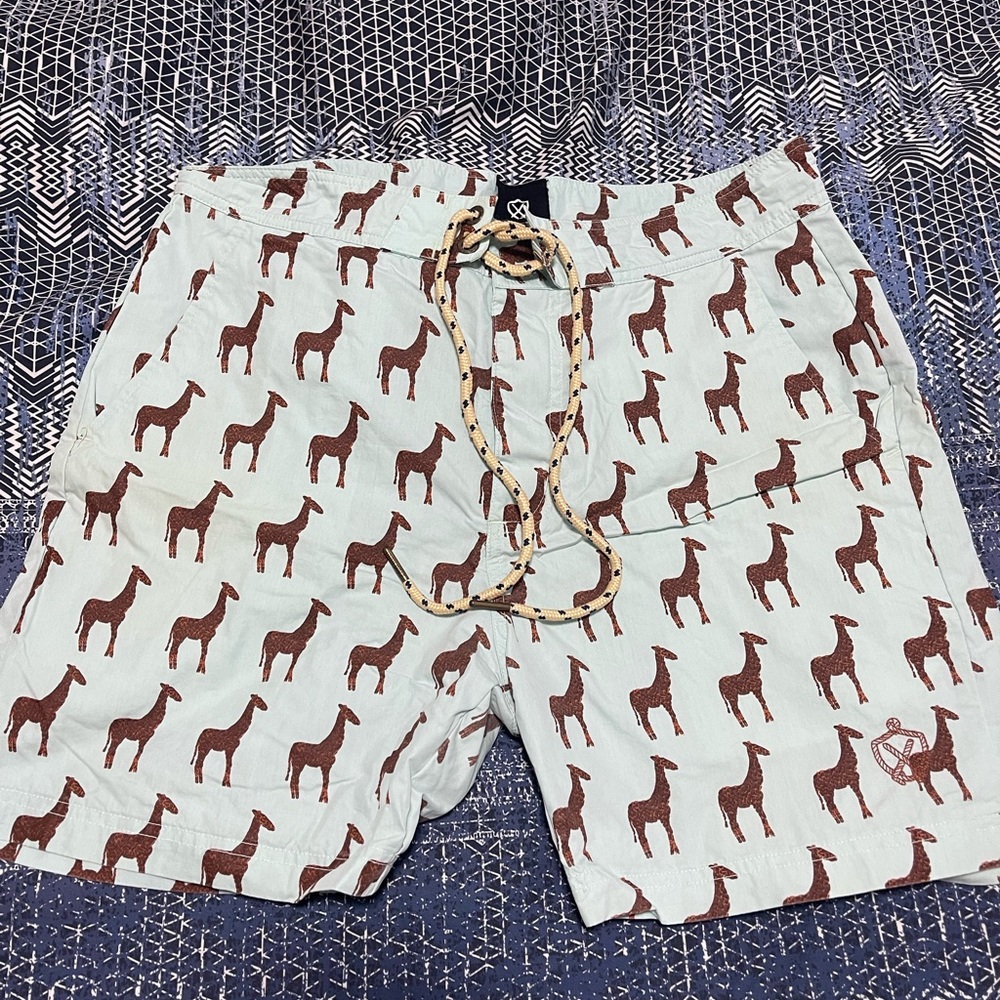 Mens Zanerobe Swim Trunks